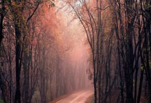 FB体育-NBA｜当皇马堡垒轰然倒塌！草根球员上演史诗级逆袭