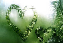 FBsports-红黑惊雷撕裂斗牛士之舞！亚洲杯史诗逆转背后的战术迷局