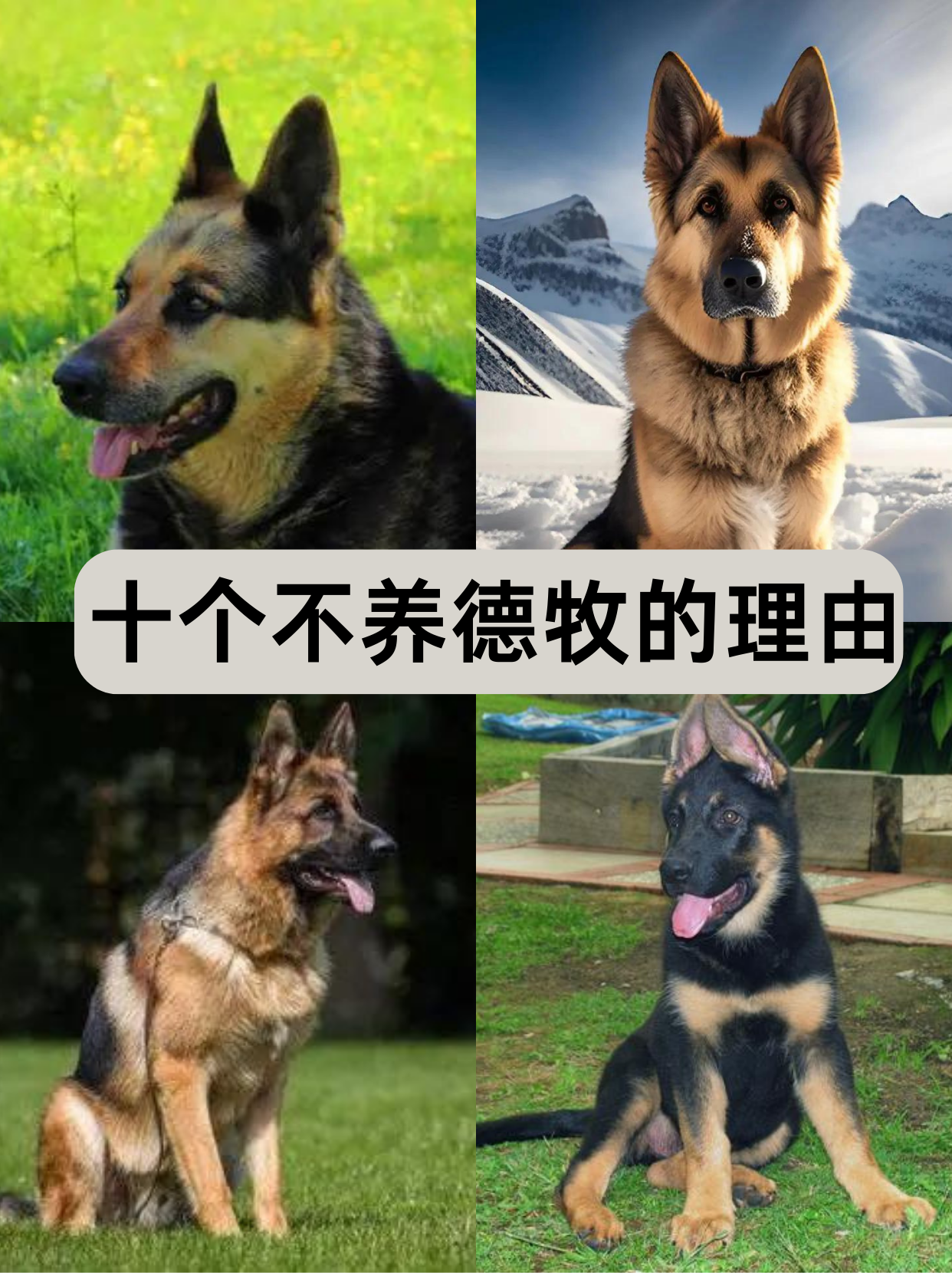 包含德国表现出色，晋级前景看好的词条