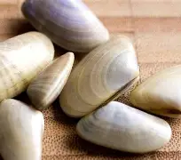 贝内文托期待新风貌，势必掀起新热潮