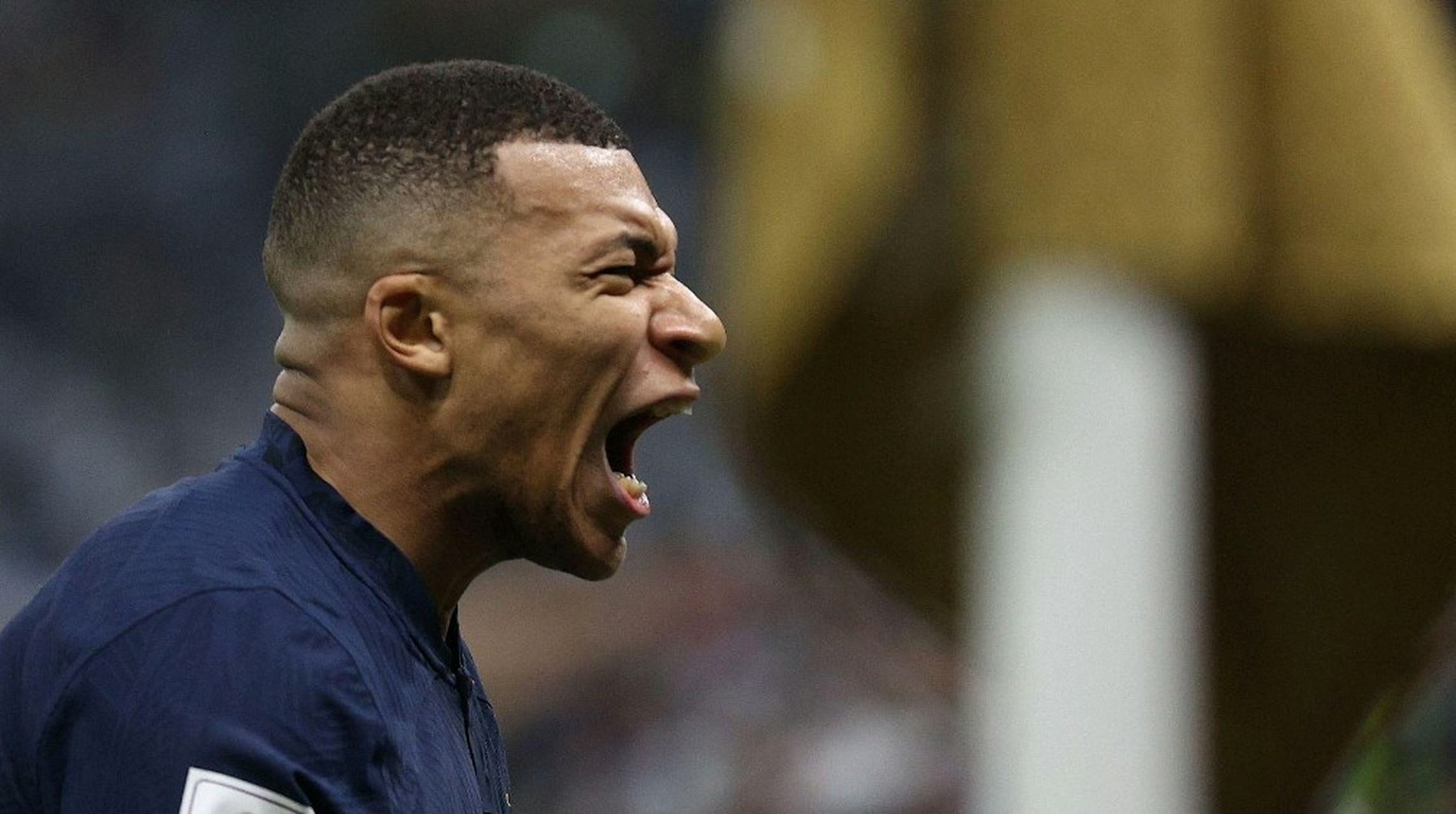 关于纪录无双！法国欧预赛保持不败纪录的信息