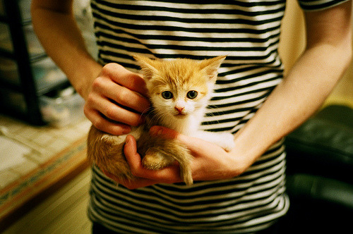 奥亚尔萨瓦尔爆发破蓝黑，国际米兰爆冷荷兰引足坛震动